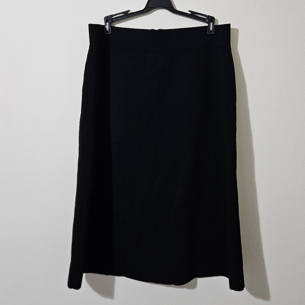 Aparallel Zip Back Skirt NWT!